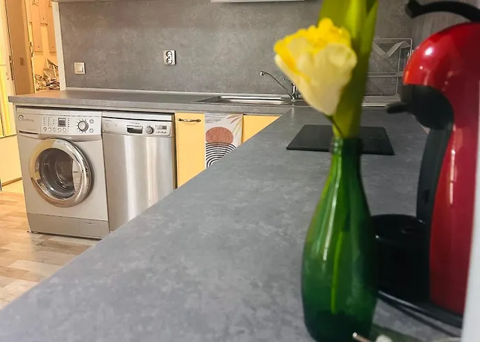 アパート Green Central Apartment *