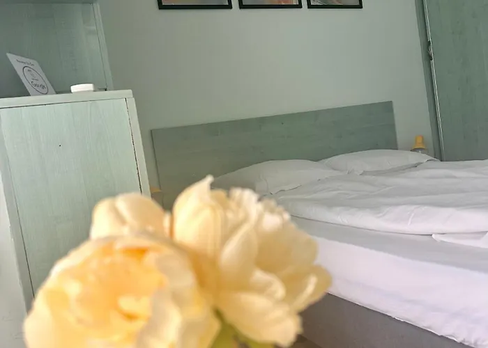 Green Central Apartment *